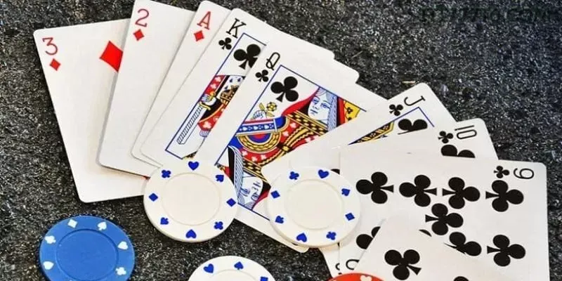Fortune Mouse